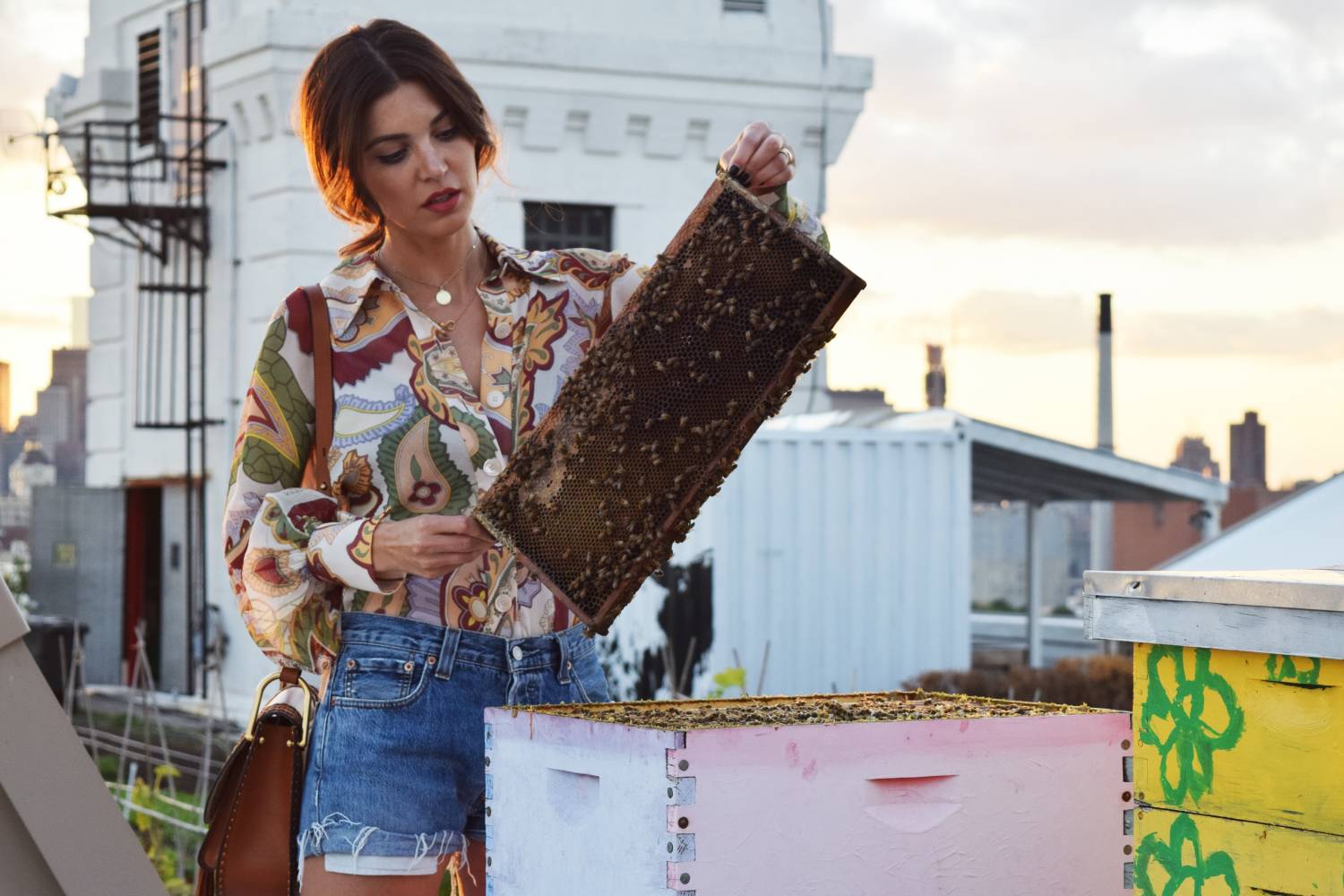 Chloé x The Brooklyn Grange rooftop beefarm