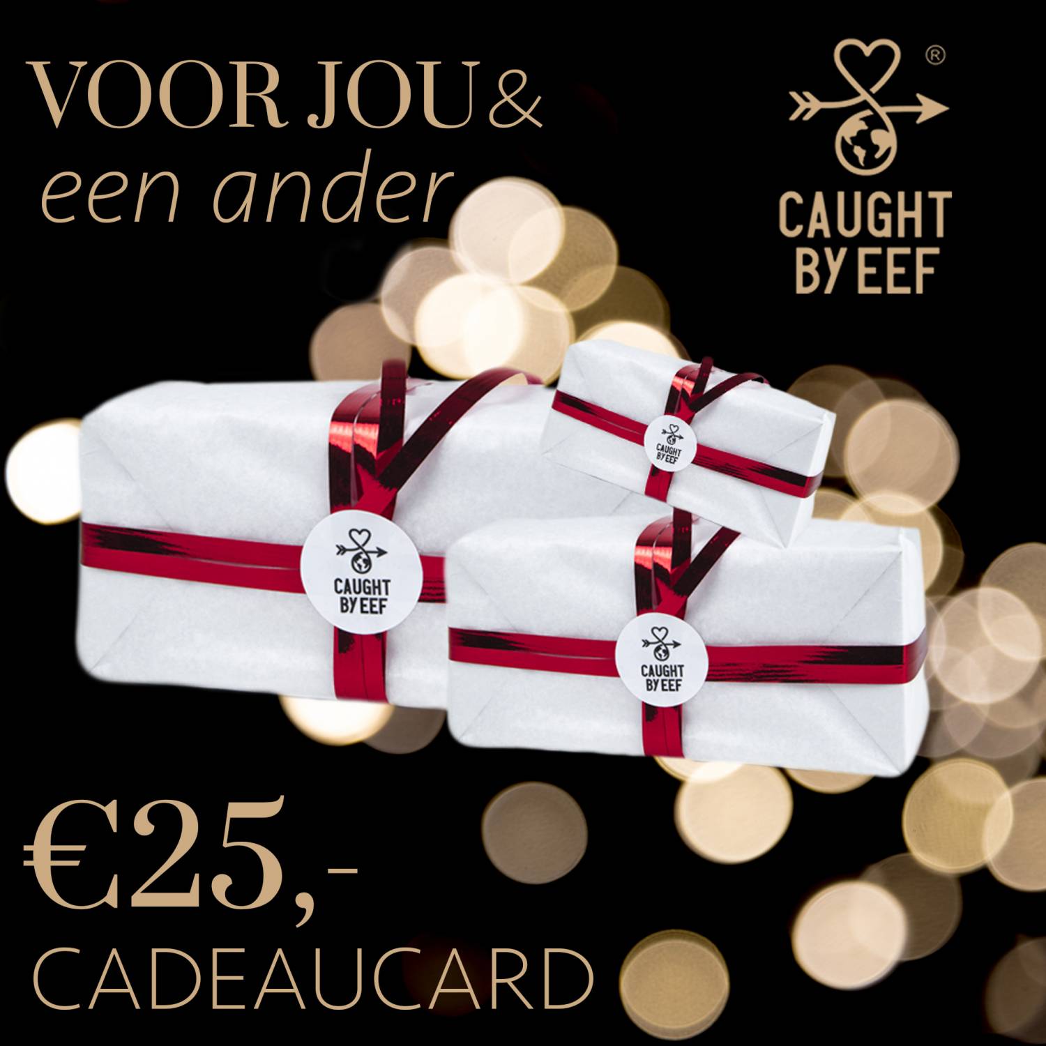 Cadeau voor Kerst