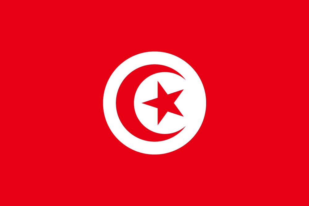 Vlag van Tunesië afbeelding en betekenis Tunesische vlag country flags Vlag van Tunesië afbeelding en betekenis Tunesische vlag country flags