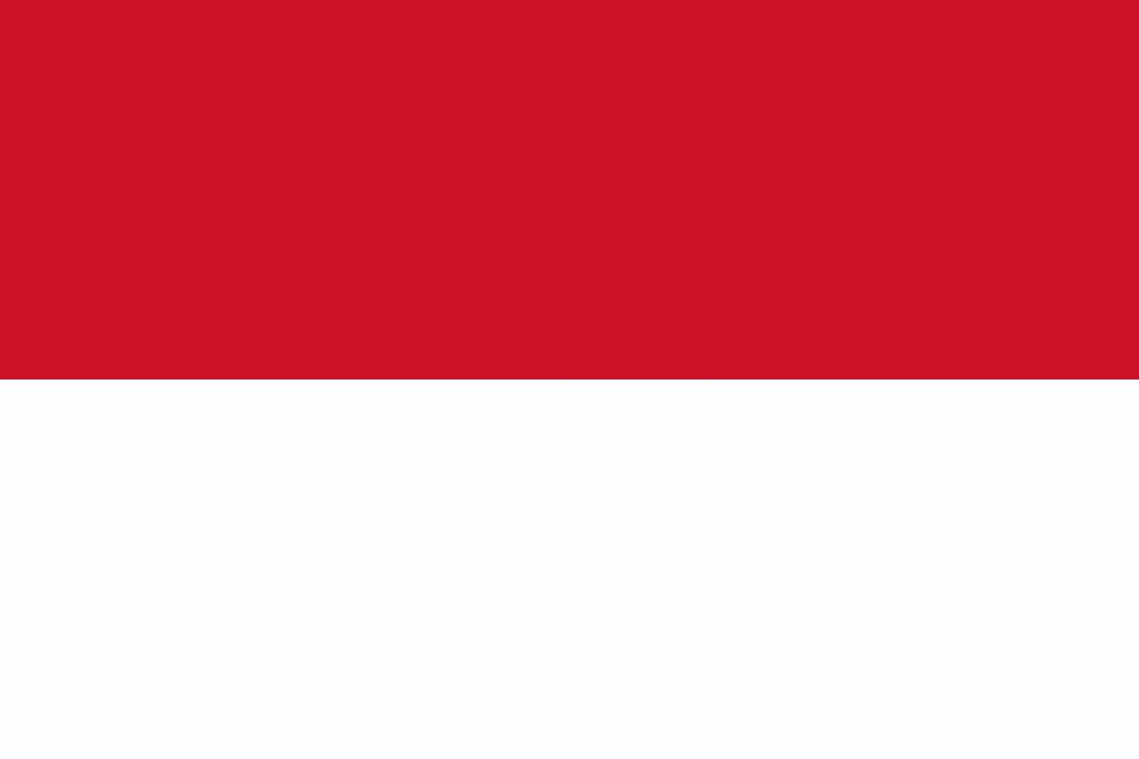  Flagge  von Indonesien Vektor country flags