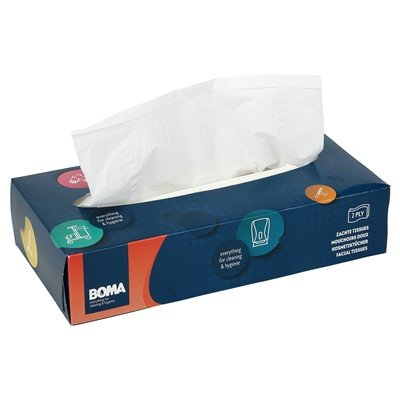 Facial Tissue - 2 plis - 21 x 21 cm - 100 pièces