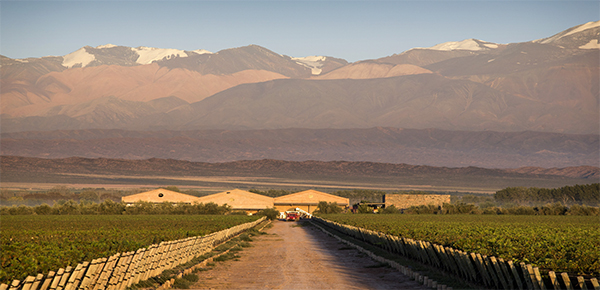 Rotwein Argentinien Mendoza