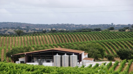 Segredos de São Miguel Alentejano Tinto