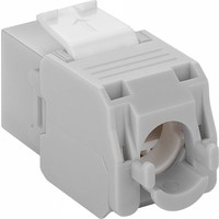 Cat6a Keystone RJ45 Unshielded Grey