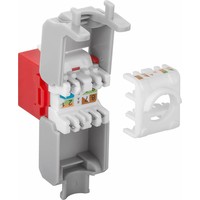 Cat6a Keystone RJ45 Unshielded Red