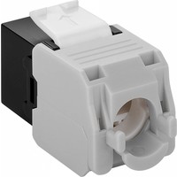 Cat6a Keystone RJ45 Unshielded Black