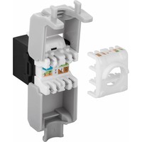Cat6a Keystone RJ45 Unshielded Black