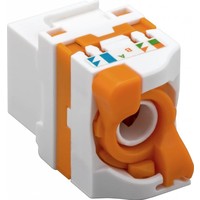 CAT 6 KeyStone RJ45 Jack UTP oranje Toolless
