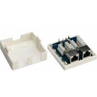 CAT6 netwerkdoos 2x RJ45 STP