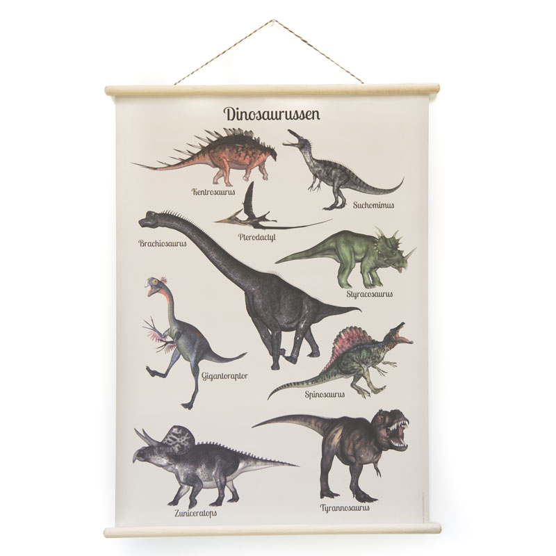 Schoolplaat dinosaurus