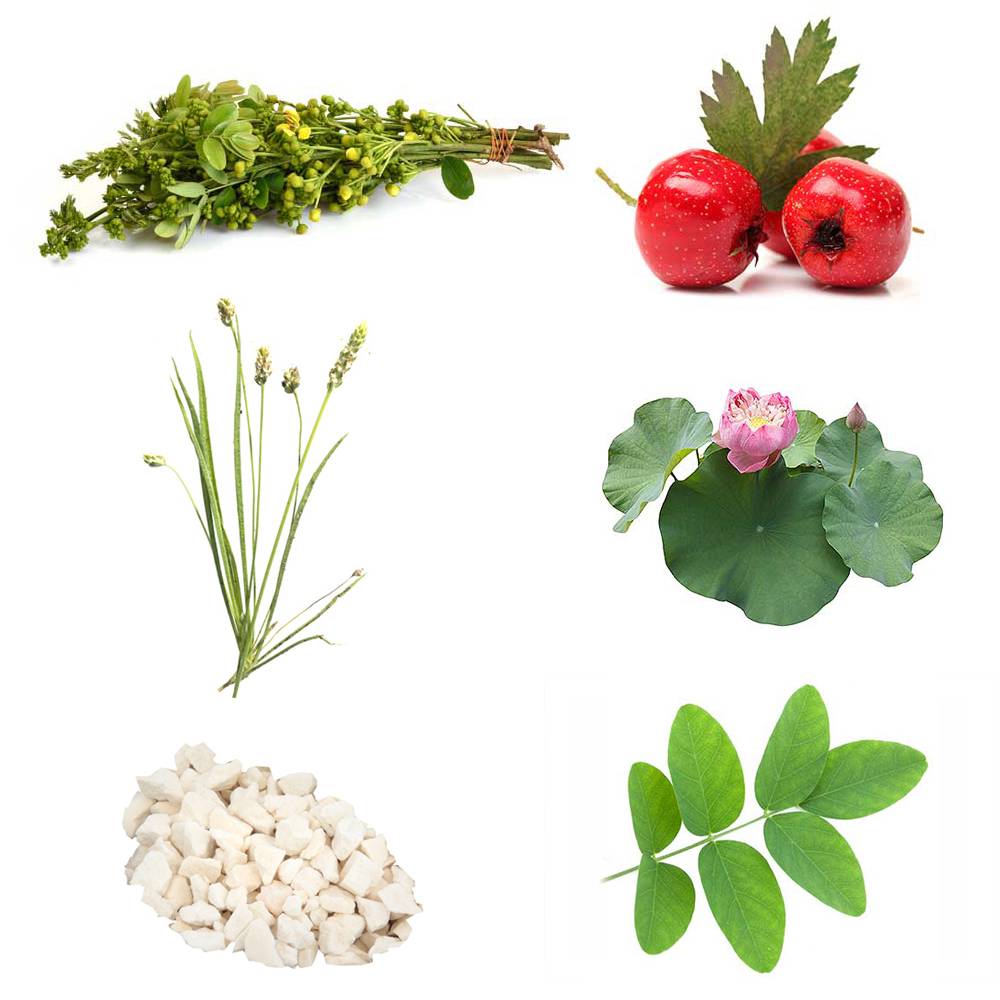 teatox afvallen