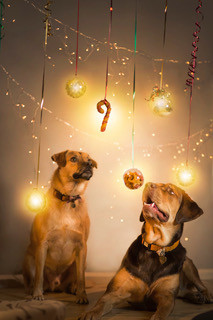 Kerst