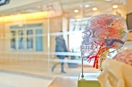 5x de leukste braintraining apps 5x de leukste braintraining apps