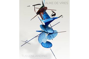 Auke de Vries - Tussenlanding
