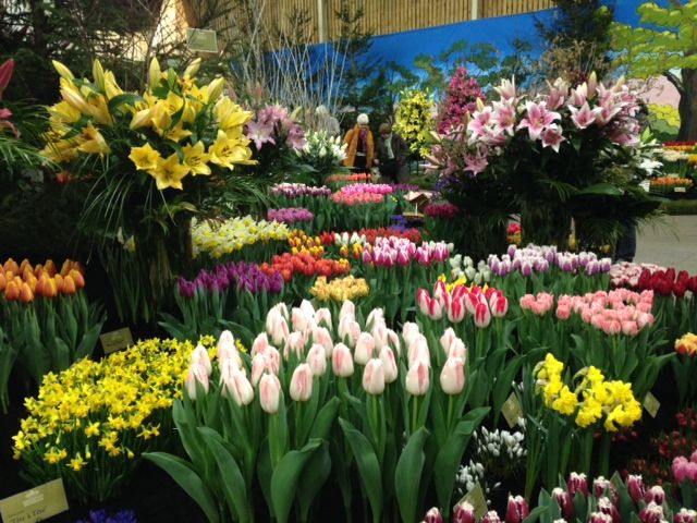 Lentetuin Breezand 2016
