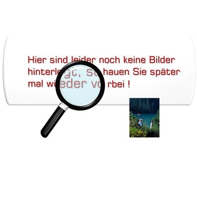 PTFE-Unterlage unter Heizband / PTFE-Abdeckung auf Silikon für TM 600 Folienschweißgeräte