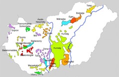 Hongaarse wijn