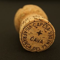 Cava