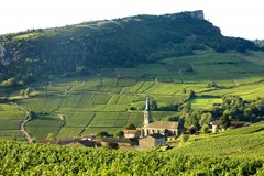 Bourgogne Wijn