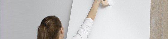 Renovlies behang