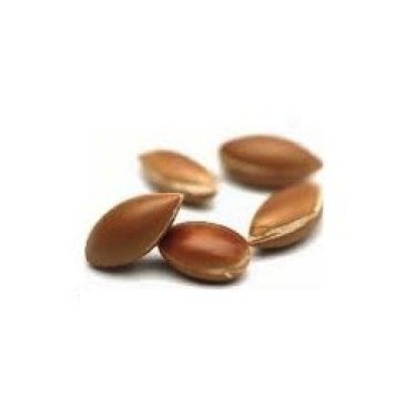 Blog over Argan olie
