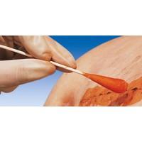 Wattenstokjes met grote prop en lengte 14cm per 50st