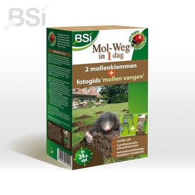 BSI Mol-weg in 1 dag
