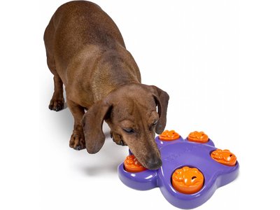 Interactief Puppy Speelgoed