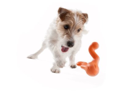 Honden spelletje om ver te gooien