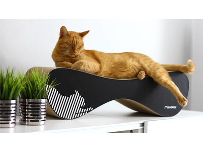 myKotty Trendy Kat Krabmeubel in Wit en Zwart