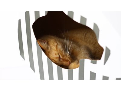myKotty Mia Trendy Kartonnen Kattenhuisje incl. Krabmat