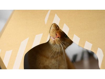 myKotty Mia Trendy Kartonnen Kattenhuisje incl. Krabmat