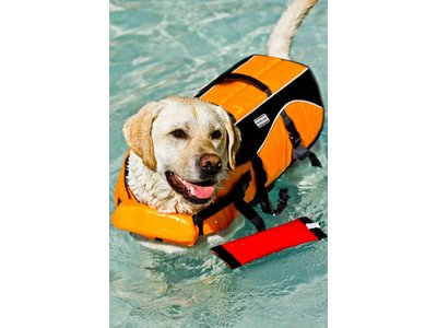Zwemvest voor Honden. Zeer geschikt voor de Boot!