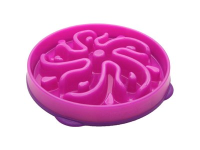 Outward Hound Fun Feeder Flower