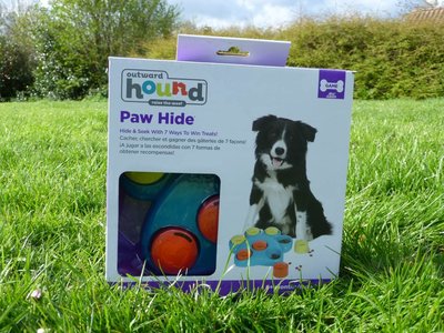 Interactief Puppy Speelgoed