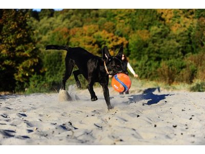 Chuckit Kick Fetch Drijvende Voetbal voor Honden