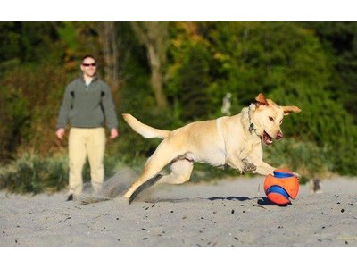 Chuckit Kick Fetch Drijvende Voetbal voor Honden