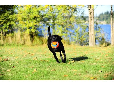 Chuckit Kick Fetch Drijvende Voetbal voor Honden