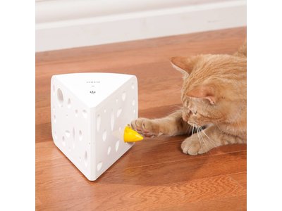 Uitdagend & Bewegend Speelgoed voor Katten