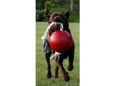 Jolly Ball Sterke Honden Bal met Touw
