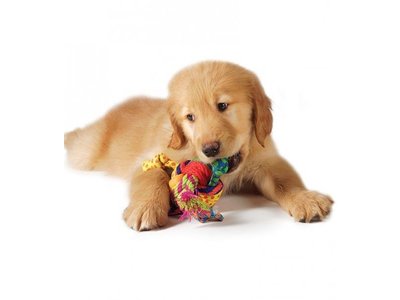 Speelgoed Bal voor Puppy met Touwtjes
