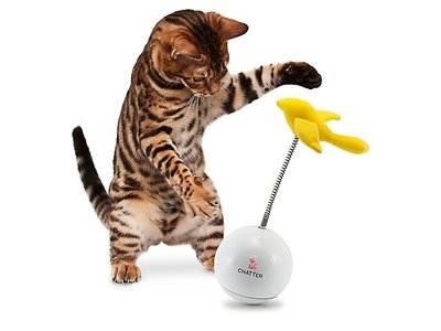Interactief & Bewegend Kattenspeelgoed