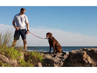K9 Jogginglijn voor Hardlopen met je Hond