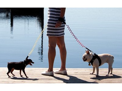 K9 Jogginglijn voor Hardlopen met je Hond
