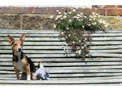 Beco Pets Pluche Speelgoed Olifant voor Honden