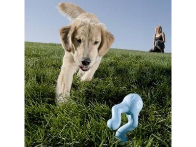 Honden spelletje om ver te gooien