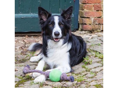 Hondenbal met Touw voor Honden in Blauw, Groen en Roze