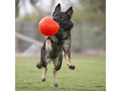 Jolly Sterke Voetbal voor Honden