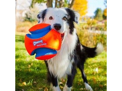 Chuckit Kick Fetch Drijvende Voetbal voor Honden