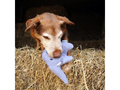 Beco Pets Pluche Speelgoed Olifant voor Honden
